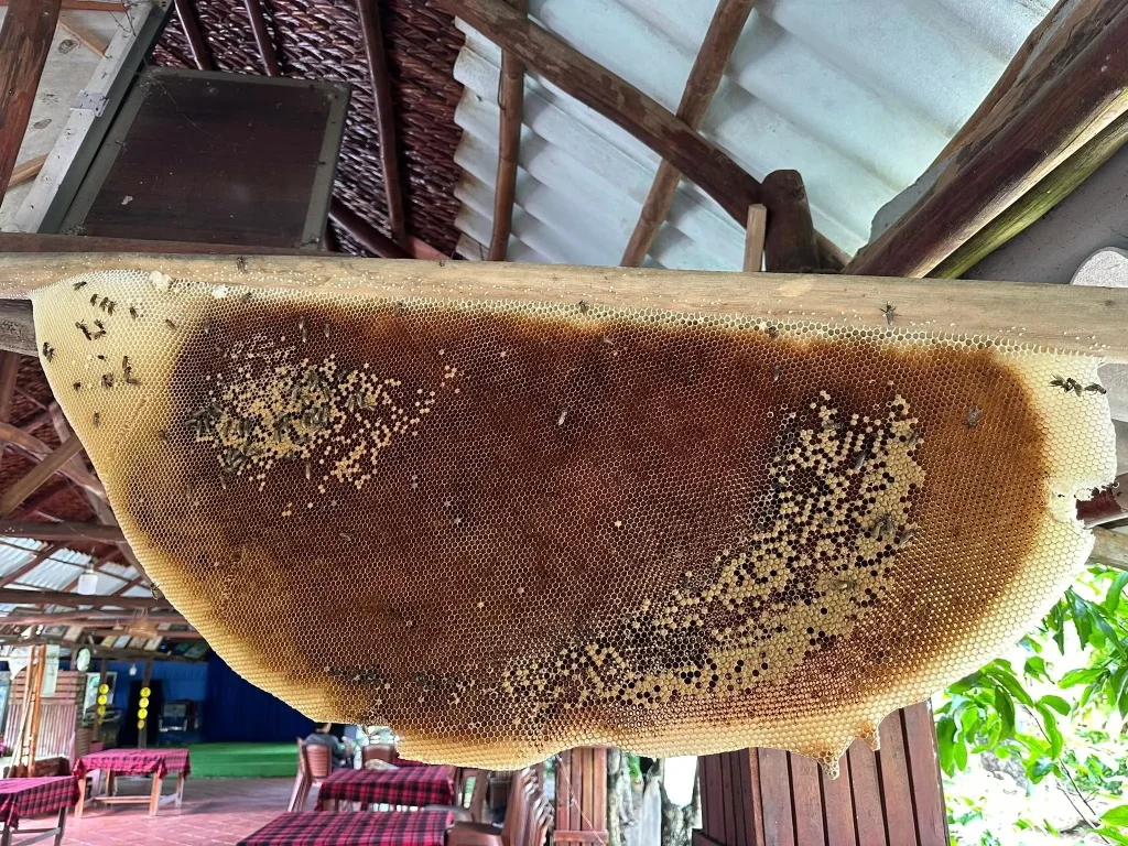 khu du lịch sinh thái mười ngọt