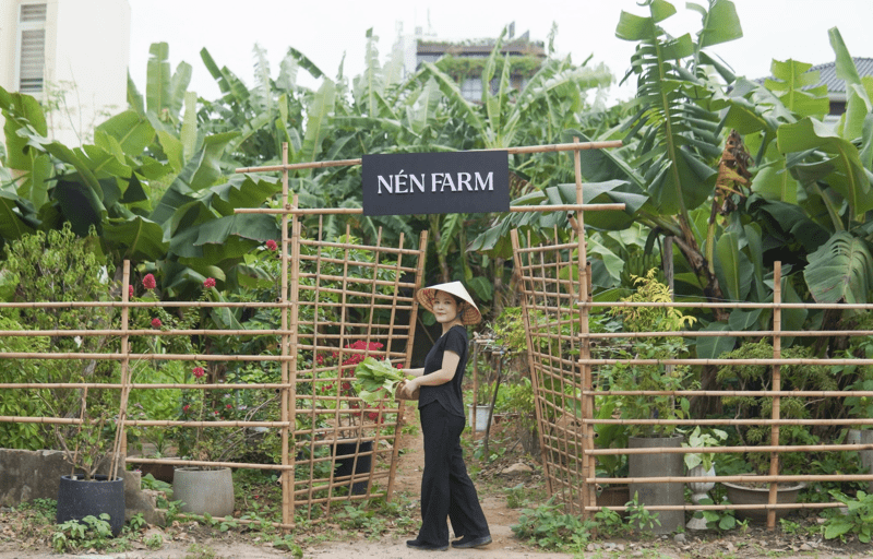 Chuyển đổi Hệ thống Lương thực Bền vững trong Ngành Khách sạn và Du lịch Vai trò, Giải pháp và Tương lai 1-min