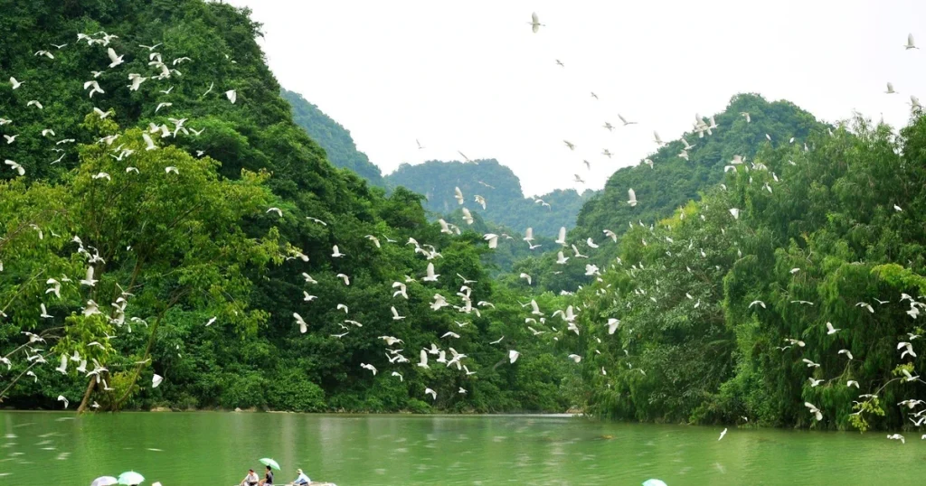 Du lịch Tích cực Thiên nhiên 3