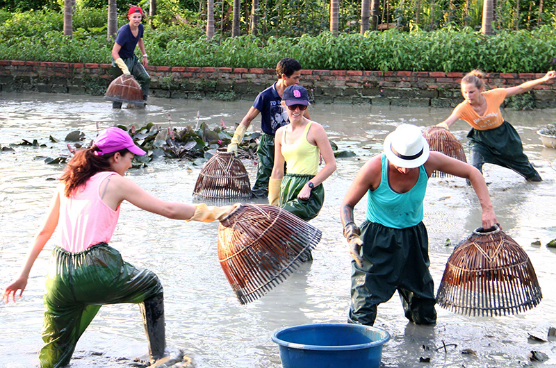 Chiến lược Giảm thiểu Tính Mùa vụ trong Du lịch thông qua Thiết kế Trải nghiệm Bền vững