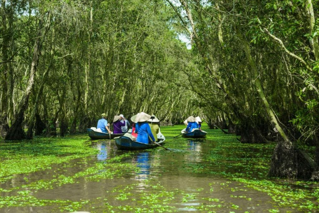 Du lịch Tác động Tích cực đến Tự nhiên: Phân tích Khái niệm, Mô hình Triển khai và Tầm quan trọng trong Bối cảnh Bảo tồn Đa dạng Sinh học Toàn cầu