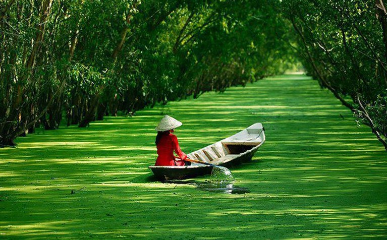 Phân tích các Chiến lược và Tầm nhìn Tương lai cho Du lịch Bền vững và Phục hồi sau Đại dịch Hội nghị Du lịch Thế giới 2022